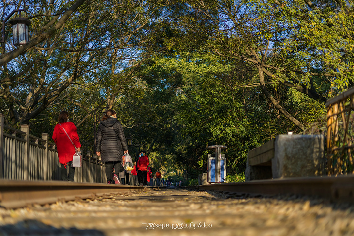 "在铁路公园最佳的时间就是下午。沿着铁路公园，从金榜公园开始，便是一段旧时光，而沿途经过的景点连成片_铁路文化公园"的评论图片