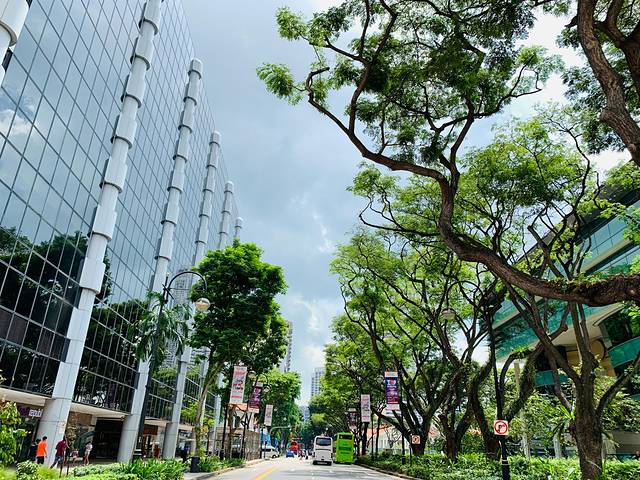 新加坡国家博物馆