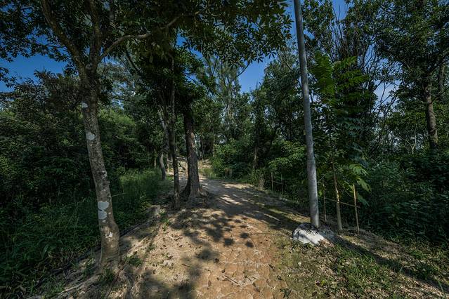 大潭山郊野公园