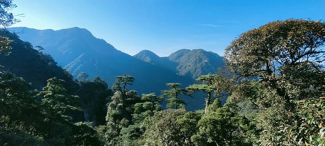 莽山五指峰景区