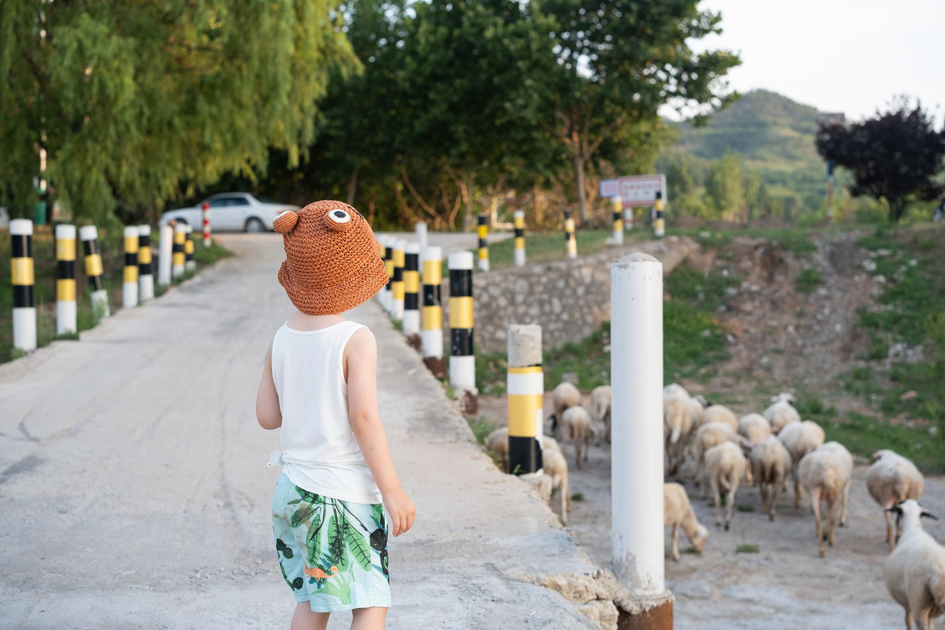 张夏土门村图片
