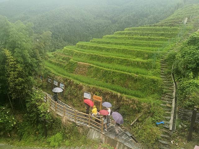 平安壮族梯田观景区