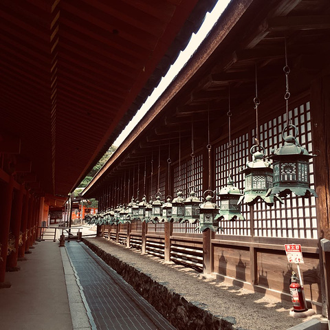 "喂完小鹿，我们一路直上就到了春日大社神社内供奉的是神明，因为一心想着去京都的伏见稻荷_春日大社"的评论图片