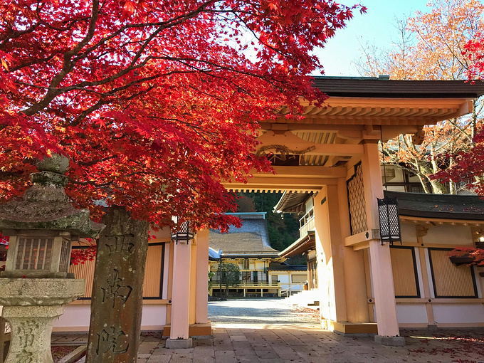 高野山 旅游攻略 游记 去哪儿攻略