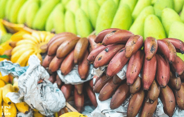 "这个红色的香蕉很特别哦，是 马来西亚 引进的品种。 各类海螺，不管是辣炒还是清蒸都别有风味_第一农贸市场(NO.1店)"的评论图片