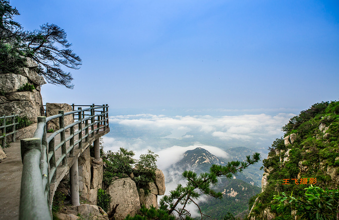 登沂蒙山遇雲海奇觀,沂蒙山仙境之地-費縣旅遊攻略-遊記-去哪兒攻略