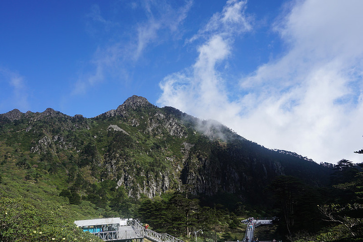 "苍山十九峰十八溪，我们去的就是最高的马龙峰。好在我们去的正好逢上苍山杜鹃开放的好时节_苍山"的评论图片