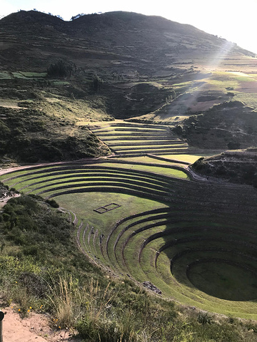 "套票上的第三个景点是环形梯田。太阳已经偏西，阴影使梯田的层次更分明。停车场外，大概时有露营团的小巴_Moray"的评论图片