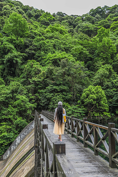 宁海森林温泉度假村旅游景点攻略图