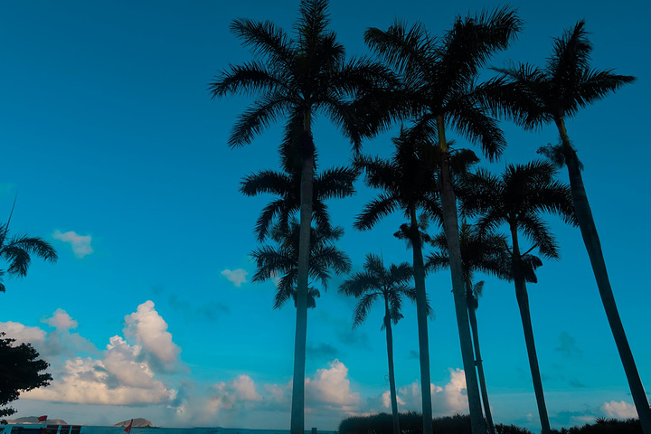 "椰梦长廊是环三亚湾修建的一条著名的海滨风景大道，有“亚洲第一大道”之称_椰梦长廊"的评论图片