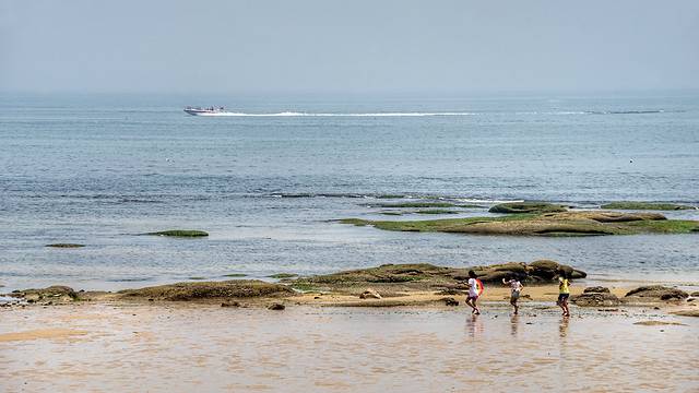 日照太公岛牡蛎公园