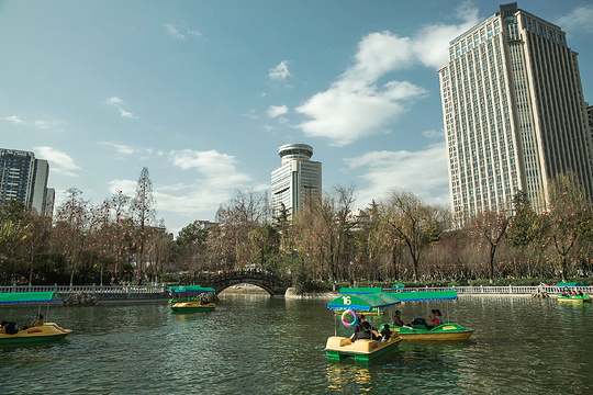 绵阳市人民公园旅游景点图片