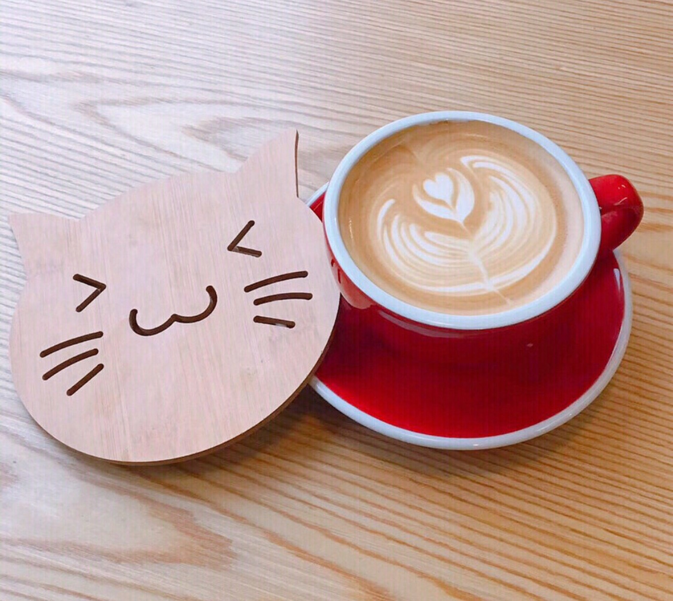 猫咪咖啡馆装修,猫咖所需设施,猫咖装修效果图_大山谷图库