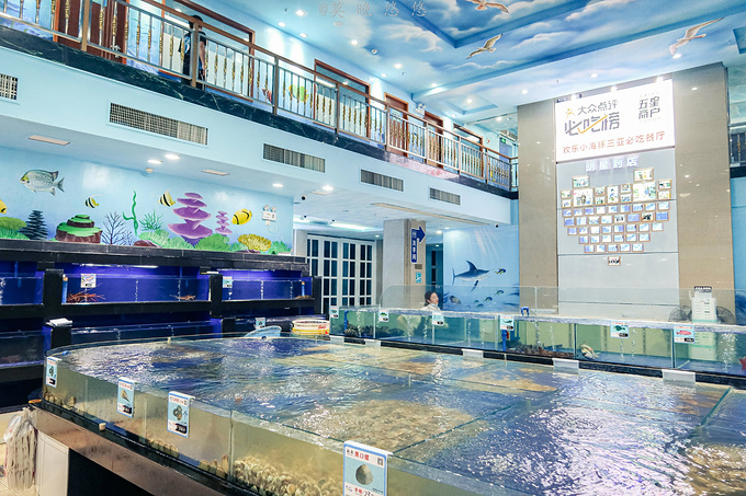 走到里面就是海鲜池,这里罗列着各式各样的