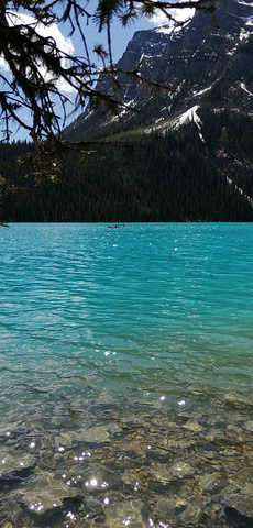 "不愧为班夫最美丽的湖，湖水的颜色像是画上去的，明艳的那么不真实，环绕的雪峰却又那么近在咫尺的真切_露易丝湖"的评论图片