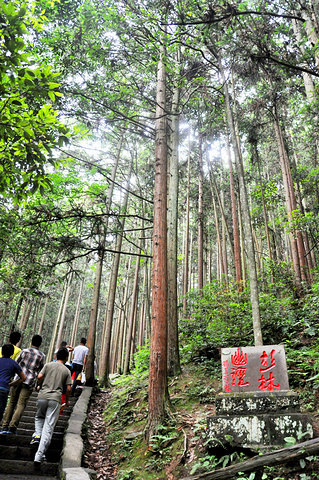 "最后从本地人上下班的后山下山游道下山，又看到了别样的风景。门票：无需门票_黄石寨"的评论图片