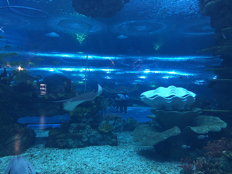 海底世界馆旅游景点图片