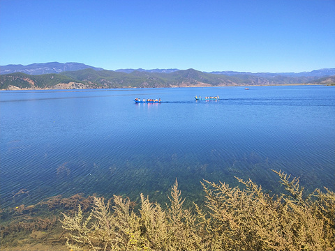 2019瀘沽湖觀景臺_旅遊攻略_門票_地址_遊記點評,瀘沽湖旅遊景點推薦