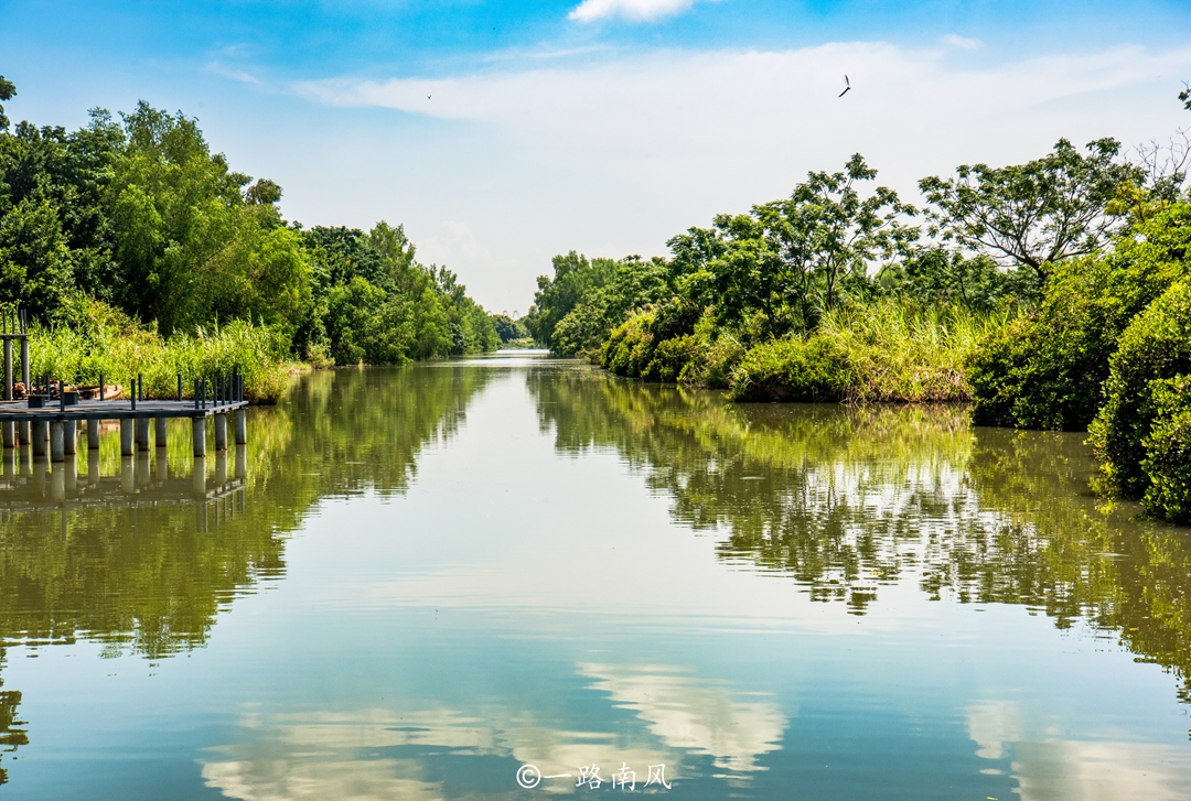 不到南沙,不知广州的湿地公园可以美成仙境.