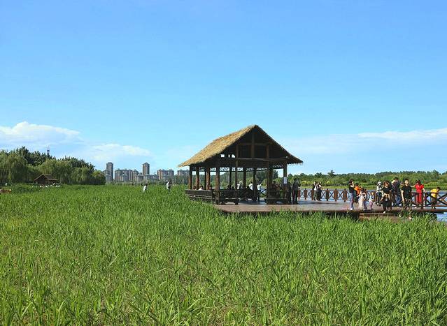 大运河森林公园