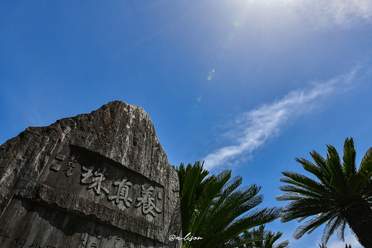 御木本真珠岛旅游景点图片