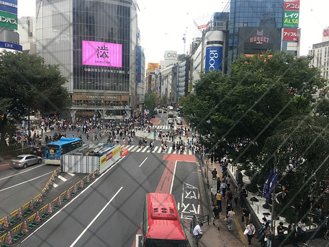 涩谷旅游景点图片
