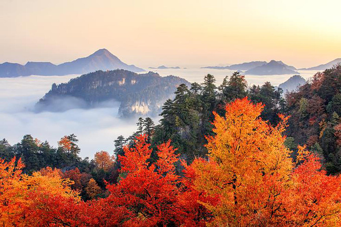 光雾山的秋天已送达,满山红叶惊艳来袭…-旅游攻略-游记-去哪儿攻略
