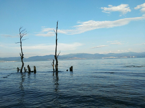 洱海旅游景点攻略图