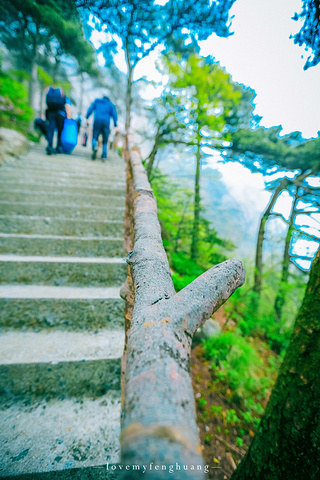 "...，这些远看似古堡魏立的天柱山岩石，在西关群峰垂直节理中非常发育，形成了横看成岭侧成峰的美丽景致_天柱山"的评论图片