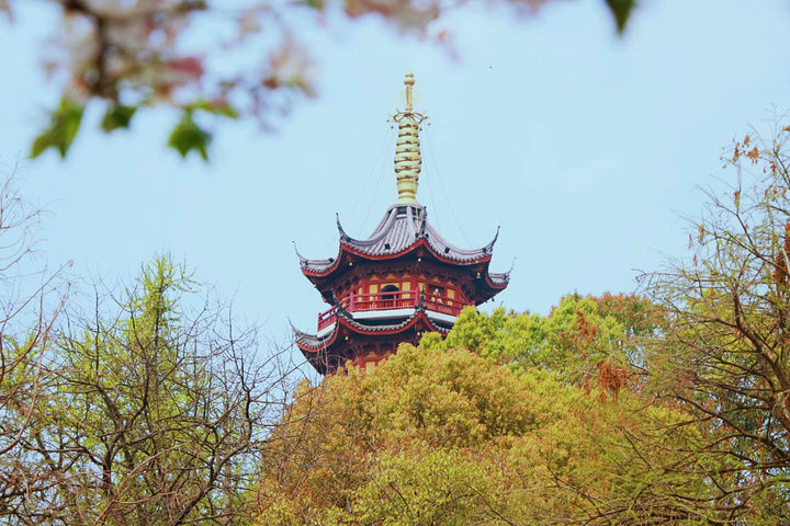 72景點攻略詳細地址古雞鳴寺玄武區雞鳴寺路1號門票價格10元櫻花