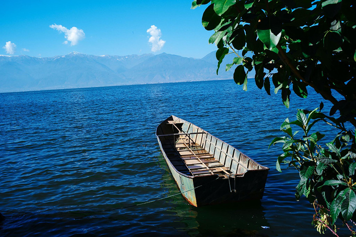 "很多旅人们都会觉得洱海就是这里最美的景点也是最为休闲的地方，其实公园是一个风景比画还美，景点如..._洱海公园"的评论图片