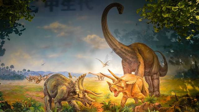 天柱山地质公园博物馆