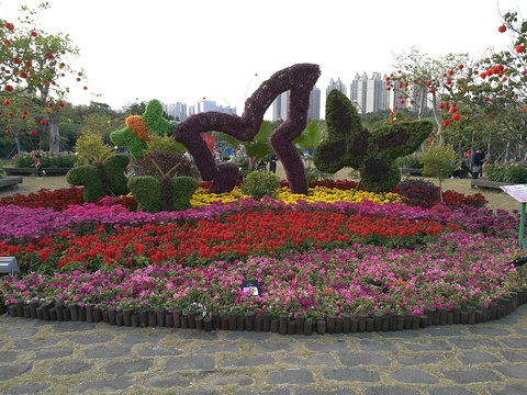 南國熱帶花園-西廣場