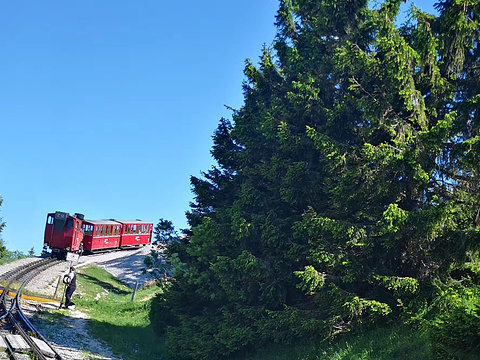夏夫堡登山火车旅游景点图片