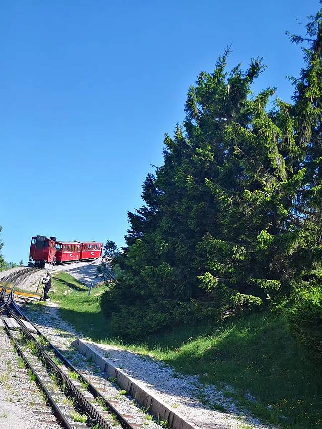 夏夫堡登山火车