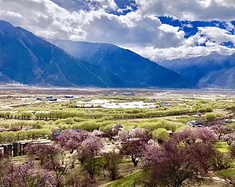墨脱5天环线|全览西藏小瑞士风光，春天艳照美爆了！
