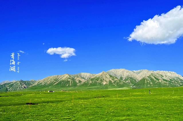 青海刚察草原