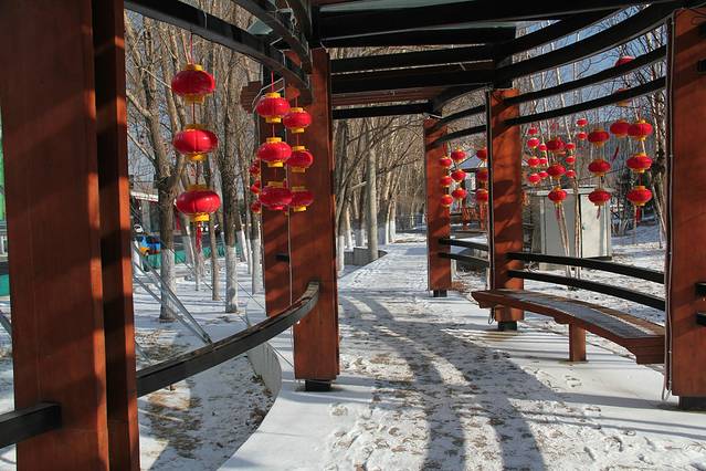 长春森林植物园