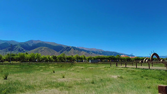 今年夏天想好去哪避暑了吗？看看我今天来到的新疆第二大草原怎么样