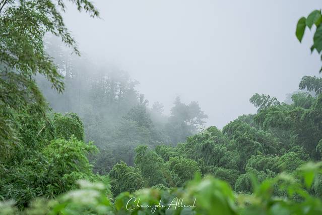 常德太阳山森林公园