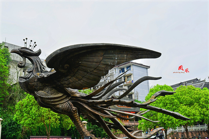 "广场上休闲的人特别多，这里也算是古城的一个入口，最大看点是广场上有一只铜质的凤凰，正欲展翅飞翔的姿态_凤凰广场"的评论图片