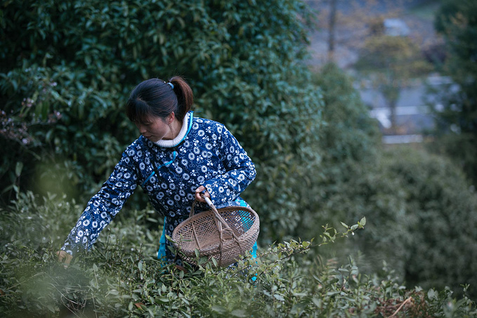 说说这次旅行图片