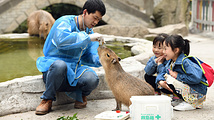 雅安旅游景点攻略图片