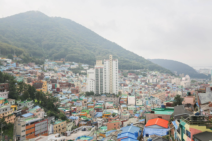 "更多的美景，还是需要你亲自过来感受。甘川文化村，现在已经成了很多文艺青年来 釜山 必打卡的景点之一_甘川文化村"的评论图片