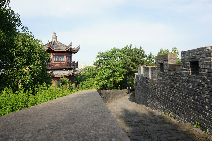 "推荐我早上去那里登个山，呼吸下新鲜空气，的确还挺棒的，在山上还有一个城墙，朋友说以前是用来打仗..._教场山公园"的评论图片