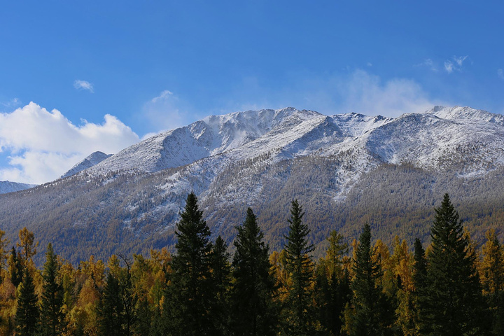 "...雪山、森林、河流，我像是走进了一副画里，我一下子明白了为什么喀纳斯被称为“人间仙境、神的花园”_喀纳斯湖"的评论图片