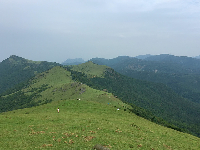 "_大姆山草场"的评论图片