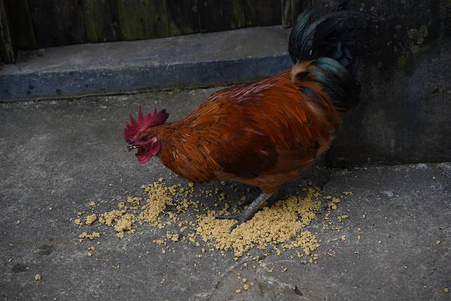 紫云格凸河风景名胜区