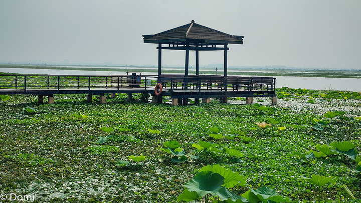 "莲花岛可以满足许多人对于度假的想象，万顷湖泊，抚慰人心_莲花岛码头"的评论图片