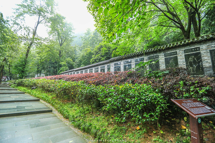 "烟雨朦胧下的双瑶池，仿佛仙境一般。中国溶洞之最的冰壶之瀑？如何躺着进洞_双龙风景旅游区"的评论图片